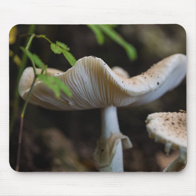 Alfombrilla De Ratón Toadstool Umbrella (Frente)