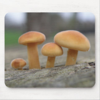 Alfombrilla De Ratón Toadstools Macroespad