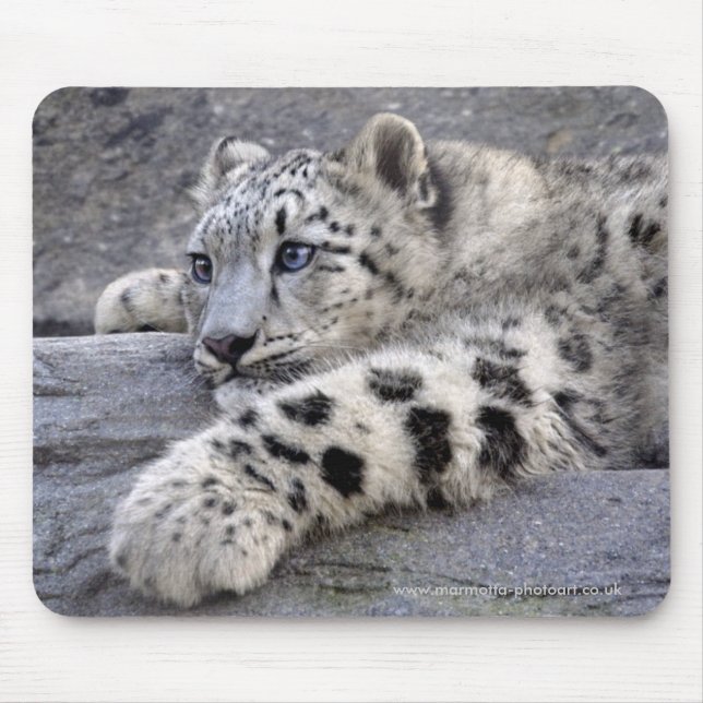 Alfombrilla De Ratón Todos realizaron Mousemat (Frente)