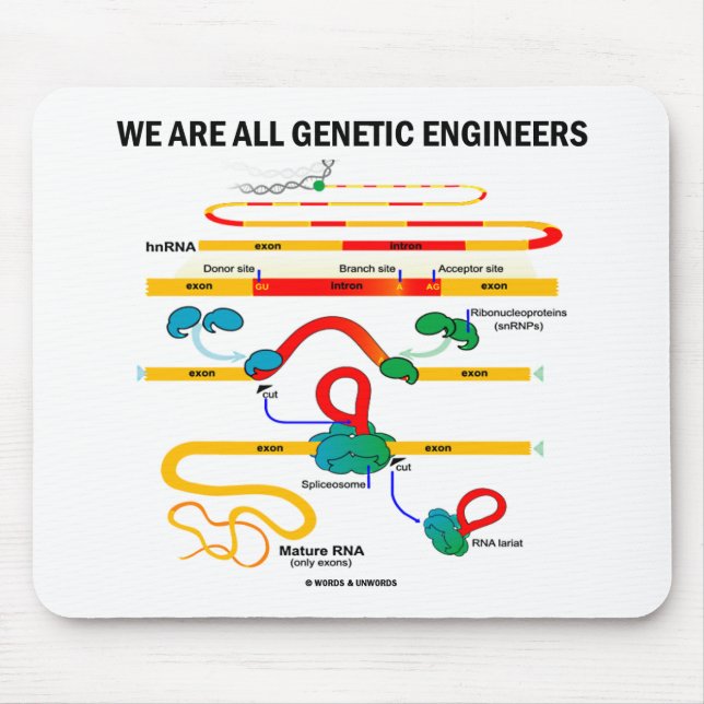 Alfombrilla De Ratón Todos Somos Ingenieros Genéticos (RNA Splicing) (Frente)