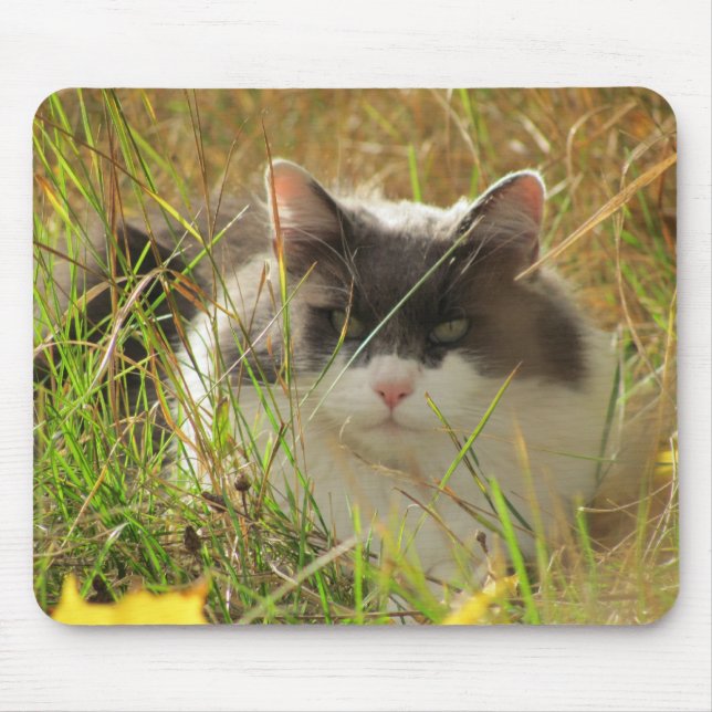 Alfombrilla De Ratón Tomar un poco de sol. (Frente)