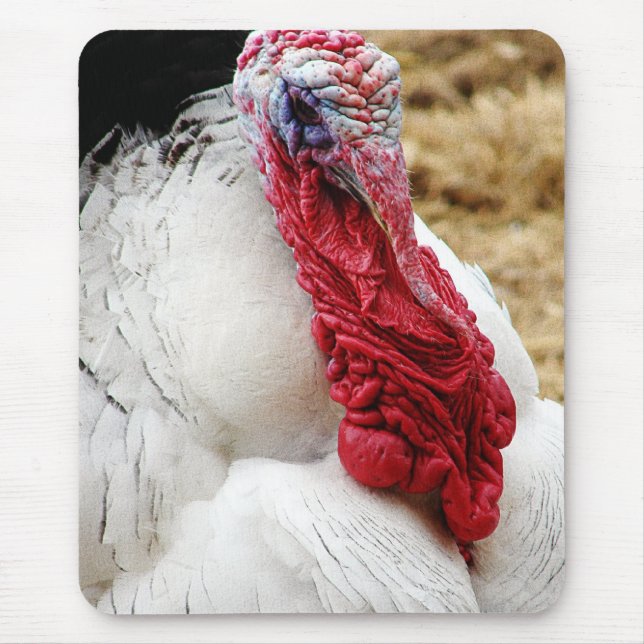 Alfombrilla De Ratón Tommy (Frente)