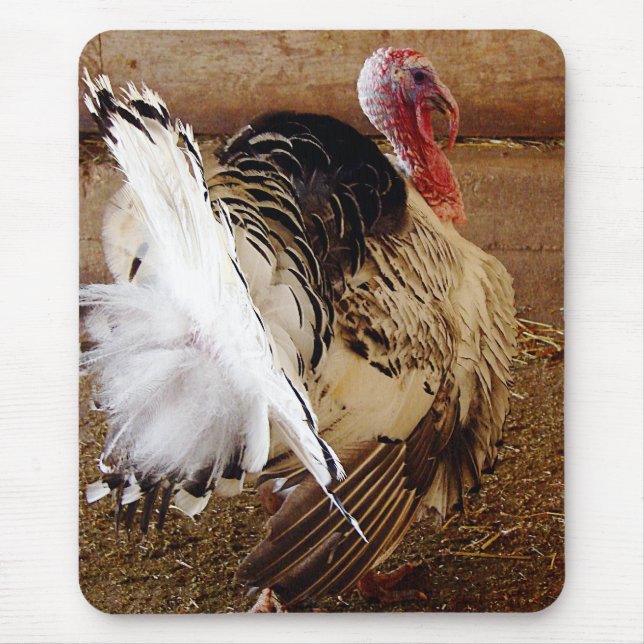 Alfombrilla De Ratón Tommy (Frente)