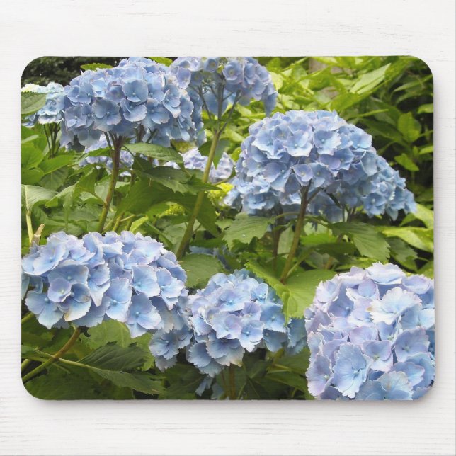 Alfombrilla De Ratón Tonos de Hydrangeas Azules (Frente)