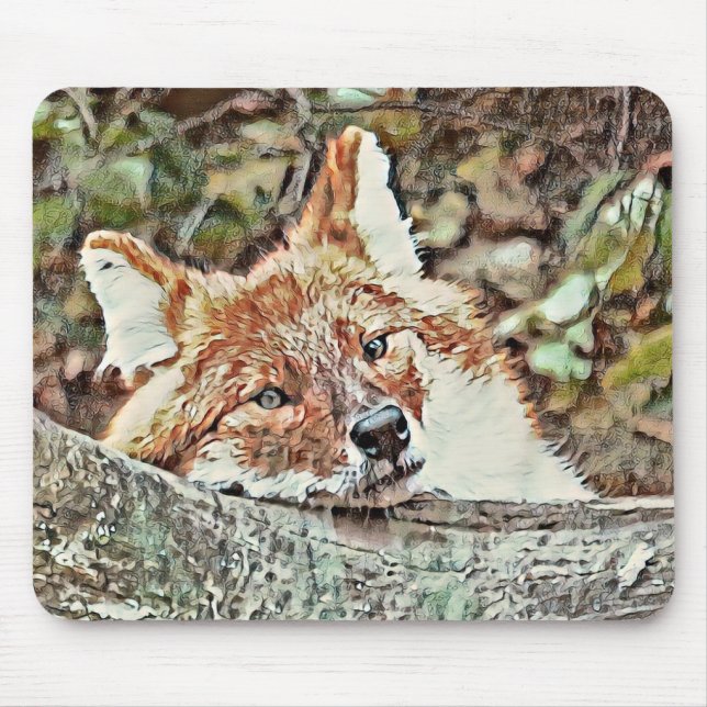 Alfombrilla De Ratón Toony Fox (Frente)