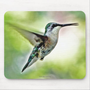 Alfombrilla De Ratón Toque de ratón Hummingbird
