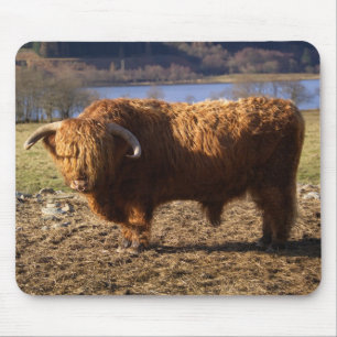 Alfombrilla De Ratón Toro de ganado de las Tierras Altas, Escocia