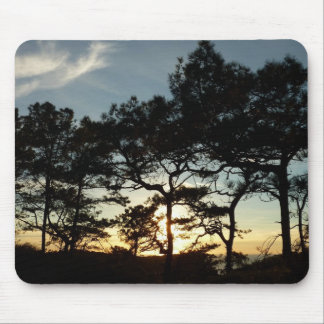 Alfombrilla De Ratón Torrey Pine Sunset II California
