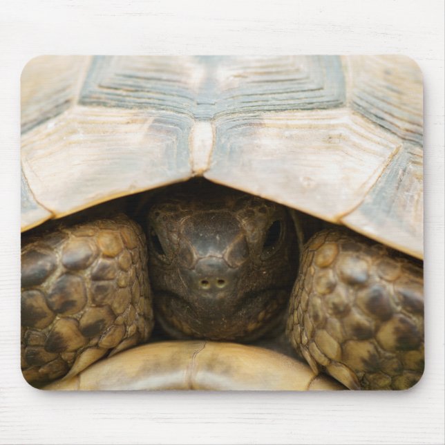 Alfombrilla De Ratón Tortoise (Frente)