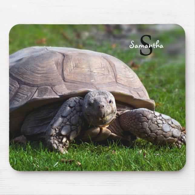 Alfombrilla De Ratón Tortoise Mouse mat (Frente)