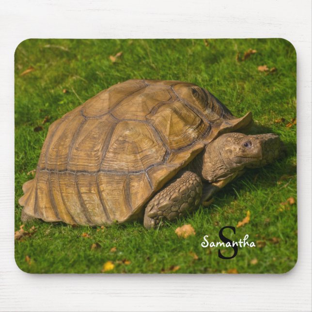 Alfombrilla De Ratón Tortoise Mouse mat (Frente)