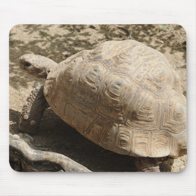 Alfombrilla De Ratón Tortuga (Frente)