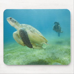Alfombrilla De Ratón Tortuga