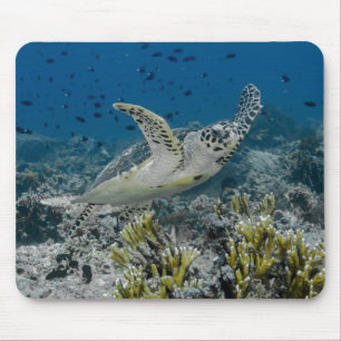 Alfombrilla De Ratón Tortuga Carey Nadando