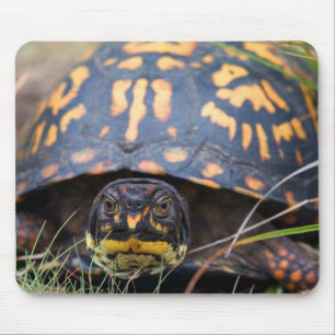 Alfombrilla De Ratón Tortuga de caja