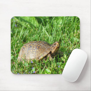 Alfombrilla De Ratón Tortuga de caja