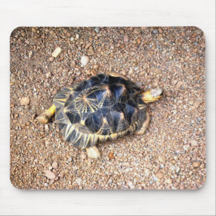Alfombrilla De Ratón tortuga de desierto