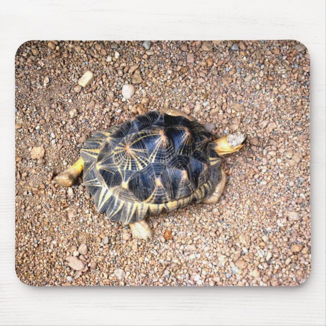 Alfombrilla De Ratón tortuga de desierto (Frente)