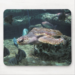Alfombrilla De Ratón Tortuga de mar