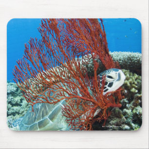 Alfombrilla De Ratón Tortuga de mar que descansa bajo el agua 2