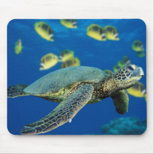 Alfombrilla De Ratón Tortuga de mar verde