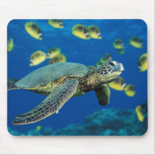 Alfombrilla De Ratón Tortuga de mar verde