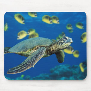 Alfombrilla De Ratón Tortuga de mar verde