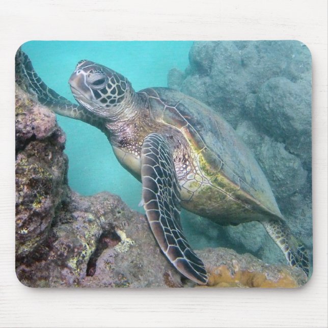 Alfombrilla De Ratón Tortuga de mar verde de Hawaii (Frente)