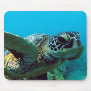 Alfombrilla De Ratón Tortuga de mar verde de Hawaii