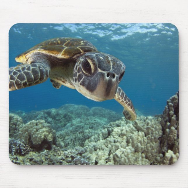 Alfombrilla De Ratón Tortuga de mar verde hawaiana (Frente)