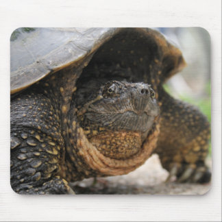 Alfombrilla De Ratón Tortuga de rotura