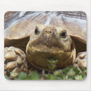 Alfombrilla De Ratón Tortuga de Sulcata
