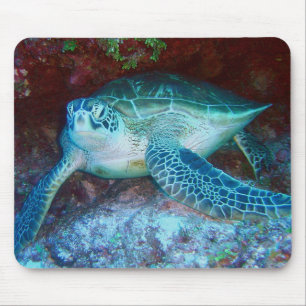Alfombrilla De Ratón Tortuga del Mar Verde bajo el agua