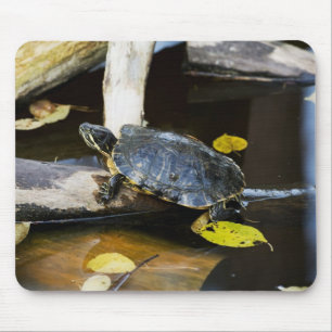 Alfombrilla De Ratón Tortuga del resbalador de la charca en el salvaje