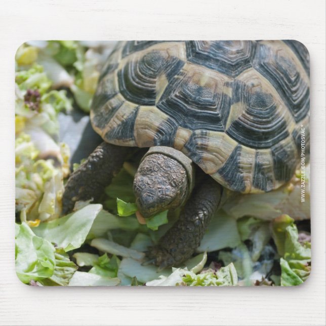 Alfombrilla De Ratón Tortuga linda (Frente)