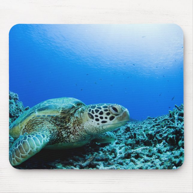 Alfombrilla De Ratón Tortuga marina descansando bajo el agua (Frente)