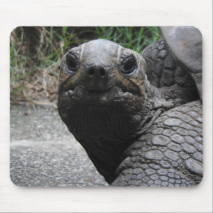 Alfombrilla De Ratón Tortuga Mousepad