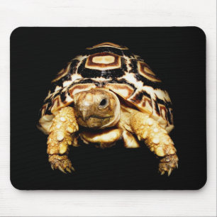 Alfombrilla De Ratón Tortuga Mousepad del leopardo