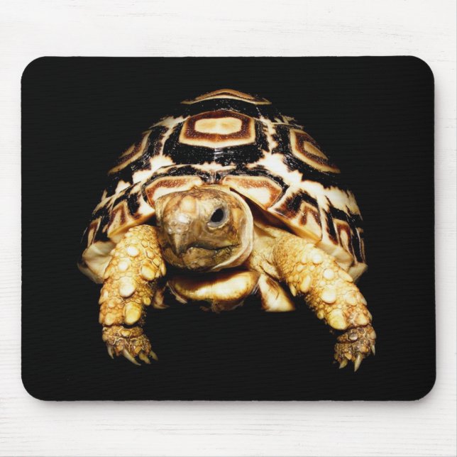Alfombrilla De Ratón Tortuga Mousepad del leopardo (Frente)