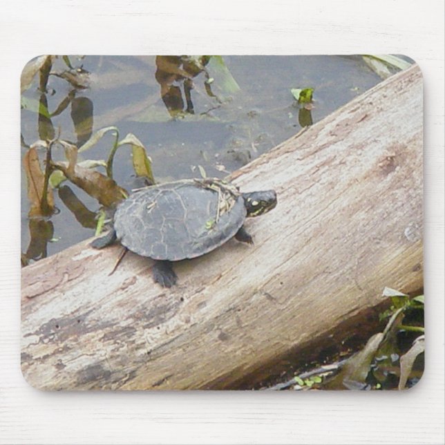 Alfombrilla De Ratón Tortuga pintada bebé Mousepad (Frente)