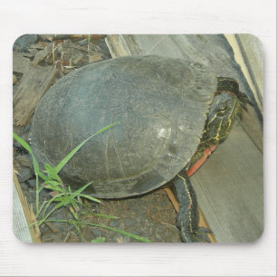 Alfombrilla De Ratón Tortuga pintada (Chrysemys picta)