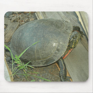Alfombrilla De Ratón Tortuga pintada (Chrysemys picta)