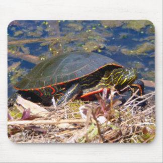 Alfombrilla De Ratón Tortuga pintada (Chrysemys picta) 3