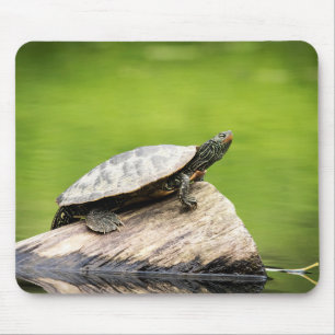 Alfombrilla De Ratón Tortuga pintada en un tronco