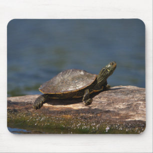 Alfombrilla De Ratón Tortuga pintada en un tronco