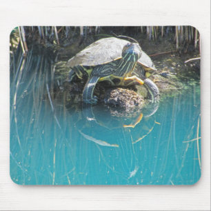 Alfombrilla De Ratón Tortuga por agua con foto de reflexión Lago Animal
