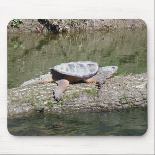 Alfombrilla De Ratón Tortuga Snapping