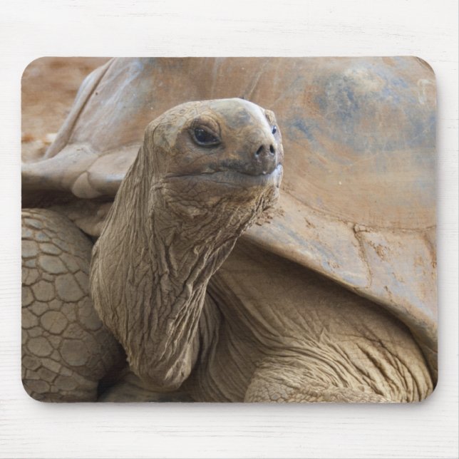 Alfombrilla De Ratón Tortuga terrestre de Seychelle Aldabra (Frente)