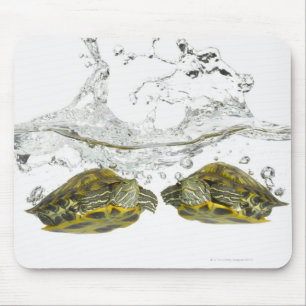 Alfombrilla De Ratón Tortugas rojas del resbalador