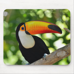 Alfombrilla De Ratón Toucan